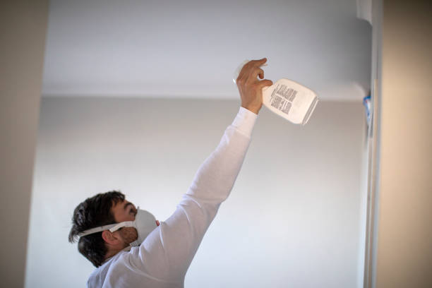 Best Mold Remediation  in North Auburn, CA